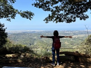三義車站~三通嶺古道(挑柴古道)~慈濟茶園~三義車站 2025/01/30