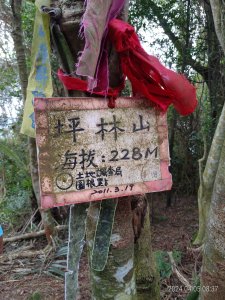 [新竹關西]試走...坪林山+南坪林山+陳屋山+坑尾山