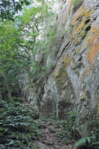 大溪白石山Ｏ型