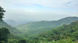 雞九凍縱走（雞籠山、九龍山、大凍山）