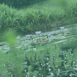 2022.06.14｜Kin27 二子坪