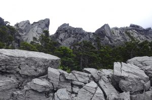 北北段（神魔拔巴）+南湖群峰（上）  （南湖溪夫妻樹營地經南峰西稜上南湖南峰、巴巴山，宿南峰山屋，加碼陶塞峰、馬比杉山，南湖北山經拔都諾府山，轉魔葉名病山出多加神山）