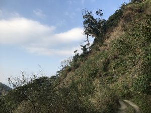 白雲山上賞雲去