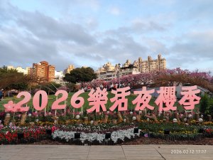 【新春賞櫻樂】平菁街42巷、宜蘭頭城火車站、二二八和平公園、東湖樂活公園