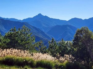 【中級山】馬武霸山，實至名歸的百岳觀景台