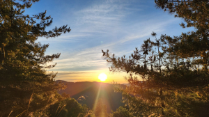 看看CCW的個人專頁