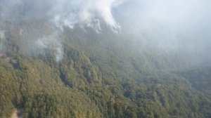 【新聞】玉里第32林班地森火 林管處全力搶救