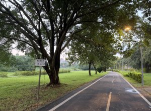 [2026臺北健走趣-09/50] 2026_0806_景美河濱公園
