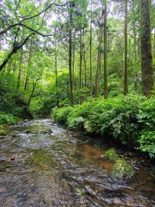 坪溪古道，石坑山（石空山）輕鬆行