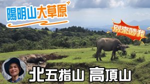 陽明山大草原秘境，北五指山大草原與高頂山草原，低調幽靜，內行山友才會來的私房景點。路徑清𥇦，沿著防迷線走10分鐘便可抵達。