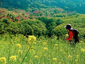 蝙蝠洞、觀音洞、金牌O走