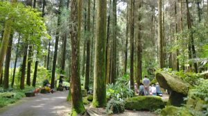 精彩可期健行和漫步步道∥阿里山頂湖步道