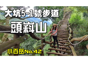 大坑5-1號步道|大坑5號步道|頭嵙山|黑松亭夢幻五葉松|台中大坑步道