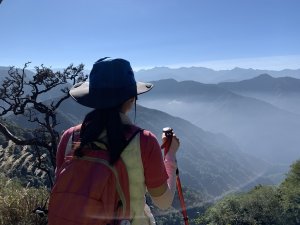 大坪登山口經杜鵑嶺登加里山