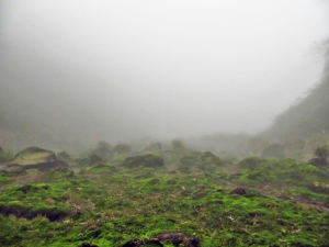 雲霧中遊走七星山之美