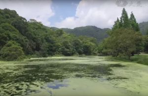 福至山林－福山植物園