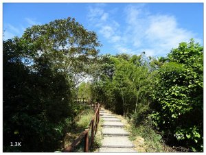 阿拔泉山、觀音石山連走