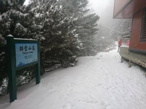 【新聞】排雲山莊積雪厚達25公分 玉管處呼籲無雪地經驗勿上山