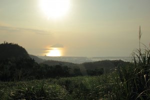 礁溪鵲子山O型