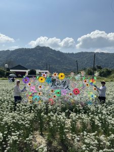 兩輪＋兩腿（二十六）鶯歌 大漢溪左岸自行車道  中庄韭菜花田 土丘景觀 吊橋 山豬湖生態親水公園月眉人工溼地