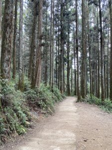 大凍山