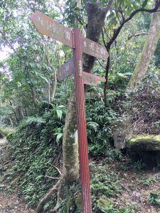 【新北-土城】【天上山登山步道】 土城第一高峰