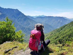 誘惑登山新手路線 塔塔加鹿林山麟趾山