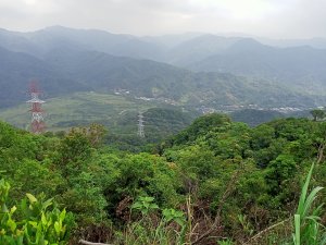 【小百岳集起來】#018 土城天上山 H430m