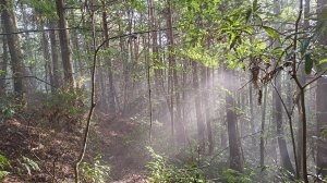 秀巒登虎禮山