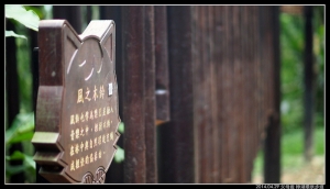 〖帶著父母走步道〗台北貓空樟樹步道樟湖步道環型