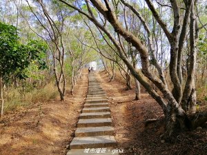 台中~風和日麗健行趣~大肚萬里長城步道