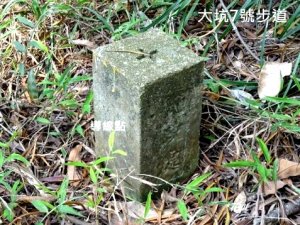 大坑7號步道/平和步道