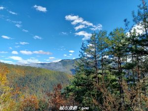 【台中和平】不期而遇~最美。 武陵農場山(馬武霸東峰)x賞鳥步道