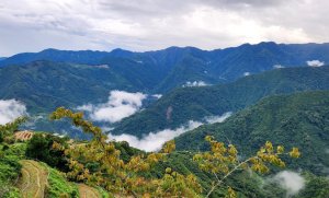 【中級山】觀霧，雲海的故鄉，苗栗榛山步道，榛山，榛山北峰