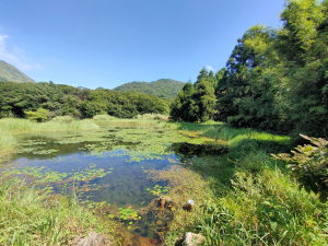 淡基橫斷古道西段縱走