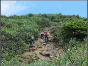 關於撤退，我想說的是...