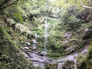 雙溪區中坑古道+大夯瀑布+中坑東山+中坑東山尾稜O型