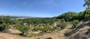 20240706屏東竹子崙西南-竹子崙南南