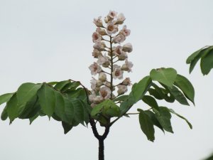 金龍湖、樂利山