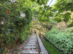 【台中烏日】知高圳步道x雪蓮步道x學田山
