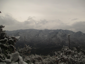 大山背雪見