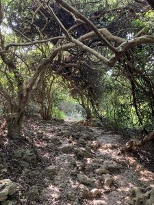 柴山步道(北柴山)