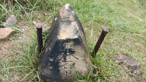 瑞芳區金瓜石地質公園-大粗坑古道(大粗坑山+小金瓜露頭)-樹梅坪-百二崁古道-金瓜石地質公園步道O型