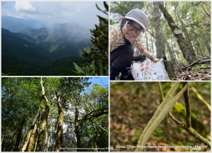 不是「巴博庫魯山」 的「庫魯山」 2025 D1014 復興尖 → 庫魯山 → 萱源山 (來回)