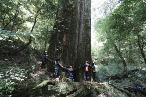 【新聞】首部台灣巨木林美學紀錄片《神殿》高雄首映