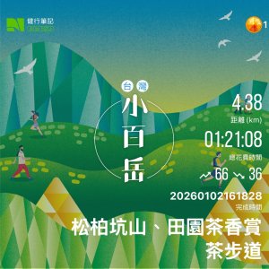 20260102松柏嶺登廟步道+松柏坑山、田園茶香賞茶步道+坑內坑森林步道