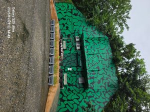 霄裡好風光，運動樂悠遊！