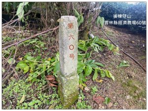 後棟仔山 O型路線
