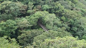 屏東山旅 – 雙流國家森林遊樂區（瀑布步道-沿山步道）
