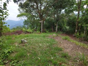 [新北新店][七]大崎頭山、大崎頭山北峰、大崎尖、大崎尖東、青潭尖(小油山)、青潭尖東東、青潭尖東、青潭、雙坑山